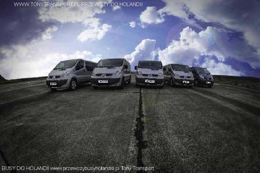 busy Niemyc Bydgoszcz