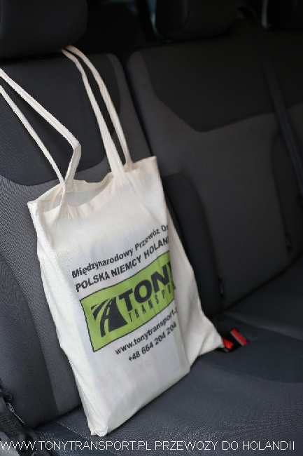 do Holandii Kostrzyn nad Odrą jakie busy