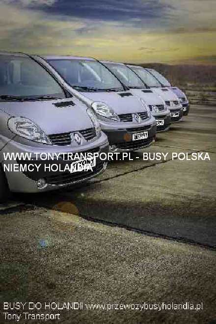 busy Holandia Polska Chodzież