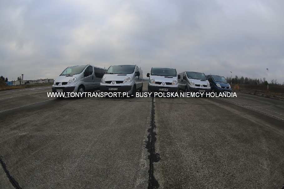 busy Holandia Toruń