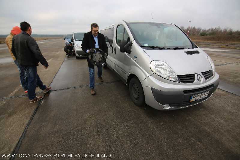 przewozy Pomorskie Niemcy